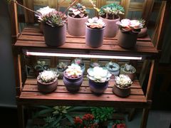 -十二舍·湯物素煮(江泰潤政店)