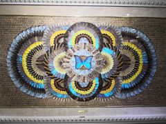 -上海昆虫博物馆