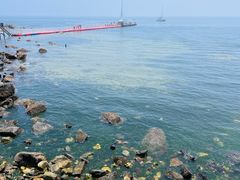 -养马岛旅游度假区
