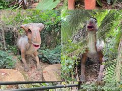 -呀路古热带植物园