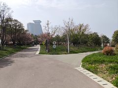-灞河西岸滨河公园
