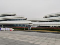 -野狸岛