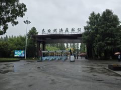 -黄海国家森林公园