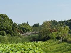 -宜兴龙背山森林公园