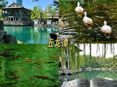 -满堂春特色餐馆