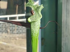 -国家植物园南园