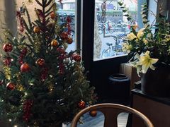 -Apollo·西班牙小酒馆(安福路店)