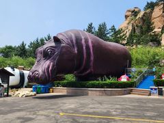 -西霞口神雕山野生动物世界