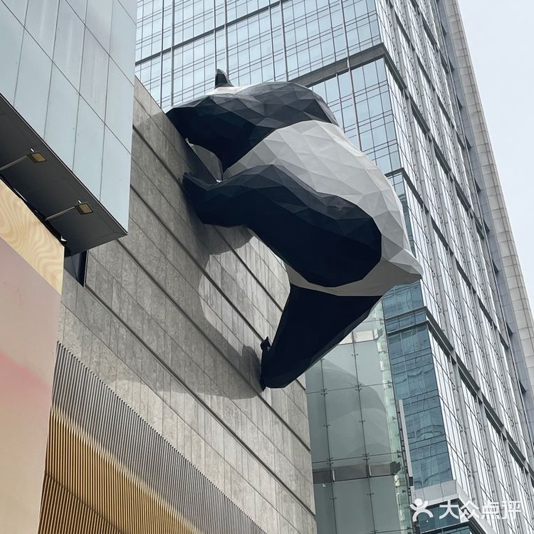 成都|三天自由行