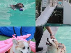-老外街