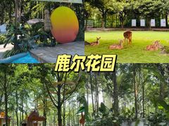 -老鼎万春卤菜(五代传承创始老店)