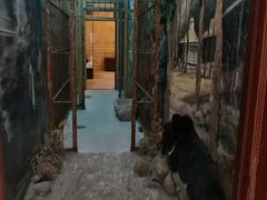 -北京动物园-畅观楼