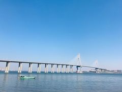 -中澳友谊花园