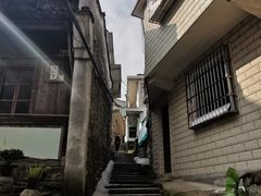 -宁波浙东大竹海景区