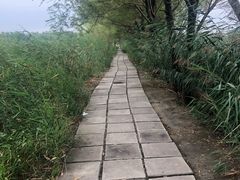 -白洋淀景区