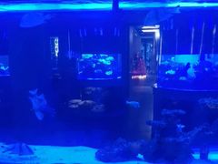 -上和臻品中国菜(花园街店)