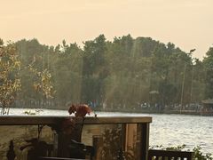 -湖畔居茶楼(湖滨店)