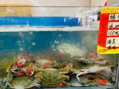 水产区-渔民船说·北塘海鲜·天津菜·海肠捞饭(北塘古镇店)