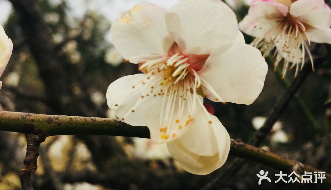 老天爷在春节几天给了几个晴天还是算蛮好的了
