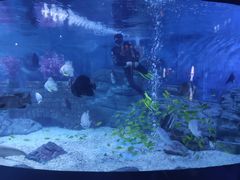 -烟台海昌鲸鲨海洋公园