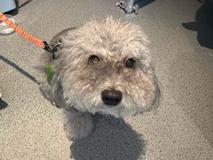 -E+有冰工厂·昆仑寒宫2(五角场店)