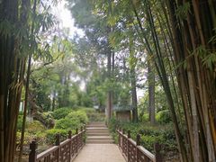 -黑龙潭公园