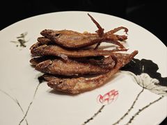 -新雅粤菜馆(南京东路店)