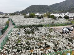 -树山生态村