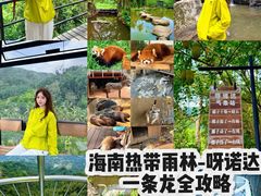 -呀诺达热带雨林