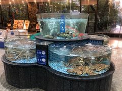 -新世纪大酒楼·30年南海菜