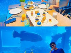 -海棠湾洲际-涛·海底餐厅·美人鱼·自助餐·海底隧道