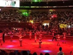 -俄罗斯国家大马戏团