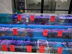 水产区-洲晓鲜·舟山海鲜大排档(朱家尖风景区店)