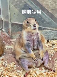 -欢乐舟·舟舟玩乐园