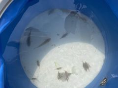 -启东恒大海上威尼斯酒店