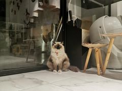 -星光摄影器材城