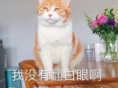 -石屋料理(南京西路店)