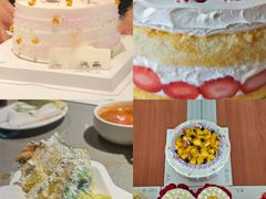 -维尔纳斯·生日蛋糕动物奶油冰淇淋蛋糕(人大店)