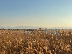 -野鸭湖国家湿地公园