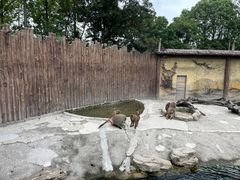 -上海野生动物园