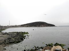 -烟墩角天鹅湖