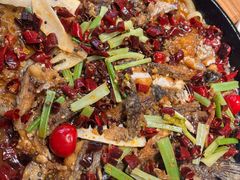 -老板恋上鱼(恒隆广场店)