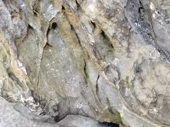 -文儒九号·闽菜馆(三坊七巷店)