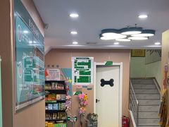 -天使宠物医院·犬猫分诊(彩虹店)