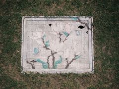 -青枫公园