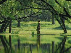 -上海共青森林公园