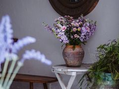 -云里小坐·小院里·团建·宴请·下午茶(三圣乡店)