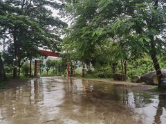 -罗浮山·罗园农庄