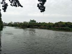 -小洲村