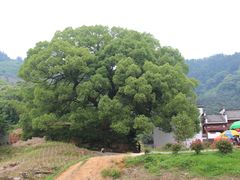 -新安江山水画廊风景区
